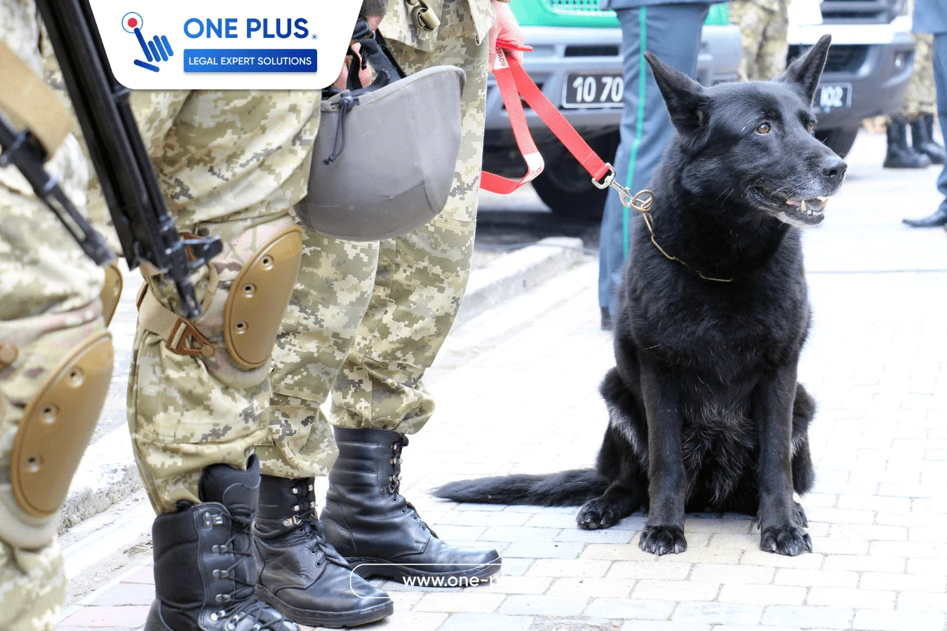 Польша вводит временный пограничный контроль с Германией и Литвой
